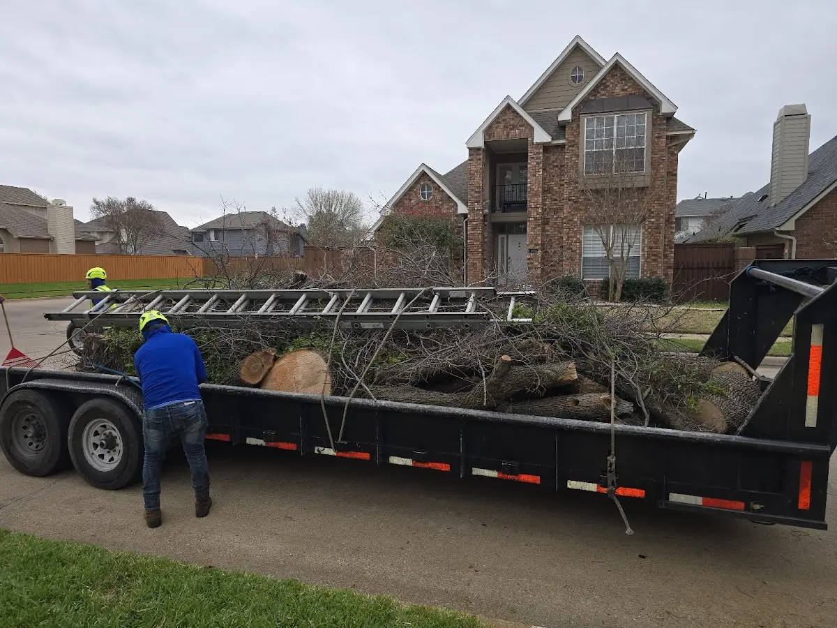 Expert Tree Fertilization with proper safety equipment in Edgecomb